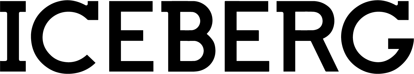Iceberg