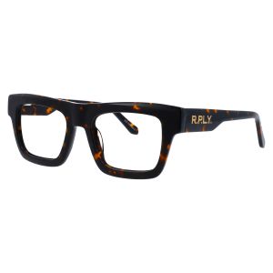 RY250V04